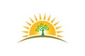 People Tree Family in sunshine logo. Family of four persons tree strong
