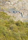 People at Trekking Glacier Trip, Patagonia, Chile Royalty Free Stock Photo