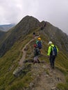 People trekking in the mountains