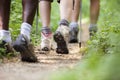 People trekking in wood and walking in row