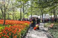 people and tulips flowers