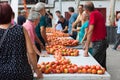 People tying tomatoes together to form the hanging bunches during Tomato `Ramellet` Night Fair Royalty Free Stock Photo