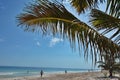 People under palm tree on Caribbean beach. Mexico. Royalty Free Stock Photo