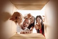 The people unpacking and opening carton box and looking inside Royalty Free Stock Photo