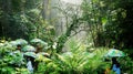 People using umbrellas in tropical rainforest in Qingqing, Shenzhen, Guangdong Province