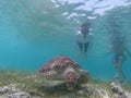 People on vacations wearing snokeling masks swimming with sea turtle in turquoise blue water of Gili islands, Indonesia Royalty Free Stock Photo