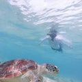 People on vacations wearing snokeling masks swimming with sea turtle in turquoise blue water of Gili islands, Indonesia Royalty Free Stock Photo
