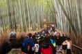 people visit bamboo grove, Arashiyama Royalty Free Stock Photo