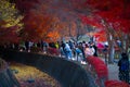 People visit the Fuji Kawaguchiko Autumn Leaves Festival