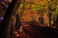 People visit the Fuji Kawaguchiko Autumn Leaves Festival