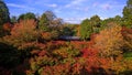 people visit tofukuji temple in autumn Royalty Free Stock Photo