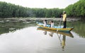 People visit Vam Sat forest by boat in Saigon, Vietnam Royalty Free Stock Photo