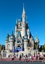 People visit Walt Disney's Magic Kingdom