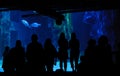 People visiting aquarium Royalty Free Stock Photo