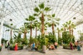 People visiting the Crystal Garden at the Navy Pier in Chicago Royalty Free Stock Photo