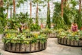 People visiting the Crystal Garden at the Navy Pier in Chicago Royalty Free Stock Photo