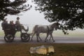 People in the wagon pulled by a horse Royalty Free Stock Photo