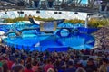 People waiting for the start of One Ocean Show with pretty killer whales at Seaworld 1 Royalty Free Stock Photo