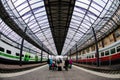 People waiting by their trolleys at Helsinki Central Trainstation, Finland Royalty Free Stock Photo