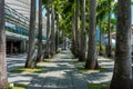 People walk along Marina Bay. The Shoppes from Marina Bay Sands on the left and Palm trees