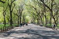 People walk in Central Park in spring time, New york, USA Royalty Free Stock Photo