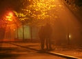 People walk in fog and light Royalty Free Stock Photo
