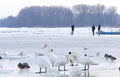 People walk on the frozen Danube river