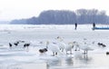 People walk on the frozen Danube river