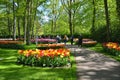 People walk in Keukenhof tulips garden at spring time in Netherlands Royalty Free Stock Photo