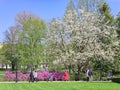 People walk and rest next to blooming magnolia and rhododendrons along the Bastion Hill