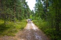 People walk in Roztocze Poland forest Royalty Free Stock Photo