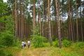 People walk in Roztocze Poland forest Royalty Free Stock Photo