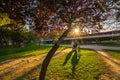 People walk on a warm spring evening during sunset in the Turia park. Valencia. Royalty Free Stock Photo