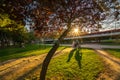 People walk on a warm spring evening during sunset in the Turia park. Valencia. Royalty Free Stock Photo