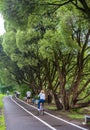 People walk in the warm summer evening in the Izmailovo park Royalty Free Stock Photo