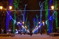 People walk in winter alley, trees decorated with multi-colored garland. Night illumination of trunk and tree branches