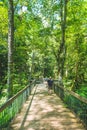 People walk on wooden bridge in the botanical garden forest in the summer season..