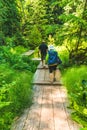 People walk on wooden bridge in the botanical garden forest in the summer season.. Royalty Free Stock Photo