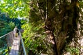 People walking across Capilano Suspension Bridge amongst trees in Canada