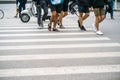 People walking across a street in Hanoi, Vietnam. Closeup Royalty Free Stock Photo