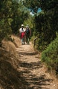 People walking along dirt path amid bushes and trees