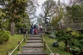 people walking along a footpath with lush green trees, grass and plants in the Japanese Tea Garden at Golden Gate Park Royalty Free Stock Photo