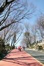 People walking along lane in Namsan park