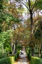 People walking along a path full of dry yellow and brown leaves caused by autumn in the Retiro Park in Madrid, Spain. Royalty Free Stock Photo