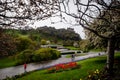 Edinburgh Castle view from Prince Street Gardens, with People walking along with Cherry blossons overhead during a rainy Royalty Free Stock Photo