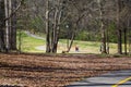 People walking along winding footpaths in the park surrounded by lush green grass, tall black lamp posts, lush green trees