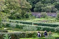 People walking around Victorian walled garden, Kylemore, Ireland