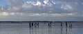 People walking on artificial lake edge, Rio