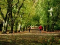 People walking in Autumn leaves on park pathway