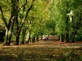 People walking in Autumn leaves on park pathway